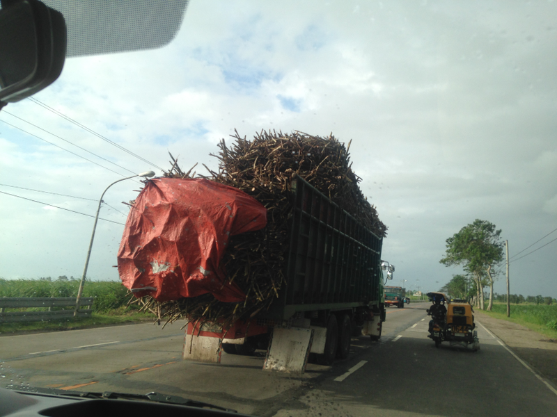 Itās harvest time for sugarcanes in Negros Occidental. Cane trucks are loaded with as much sugarcane as possible and then driven very slowly to the mill.